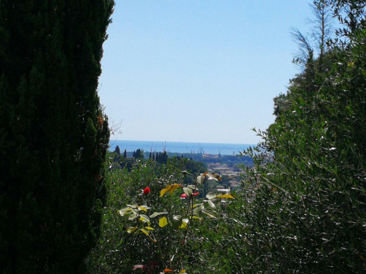 הוילה Da Adria Al Corvenale - Casa Vacanze Carrara - מראה חיצוני תמונה